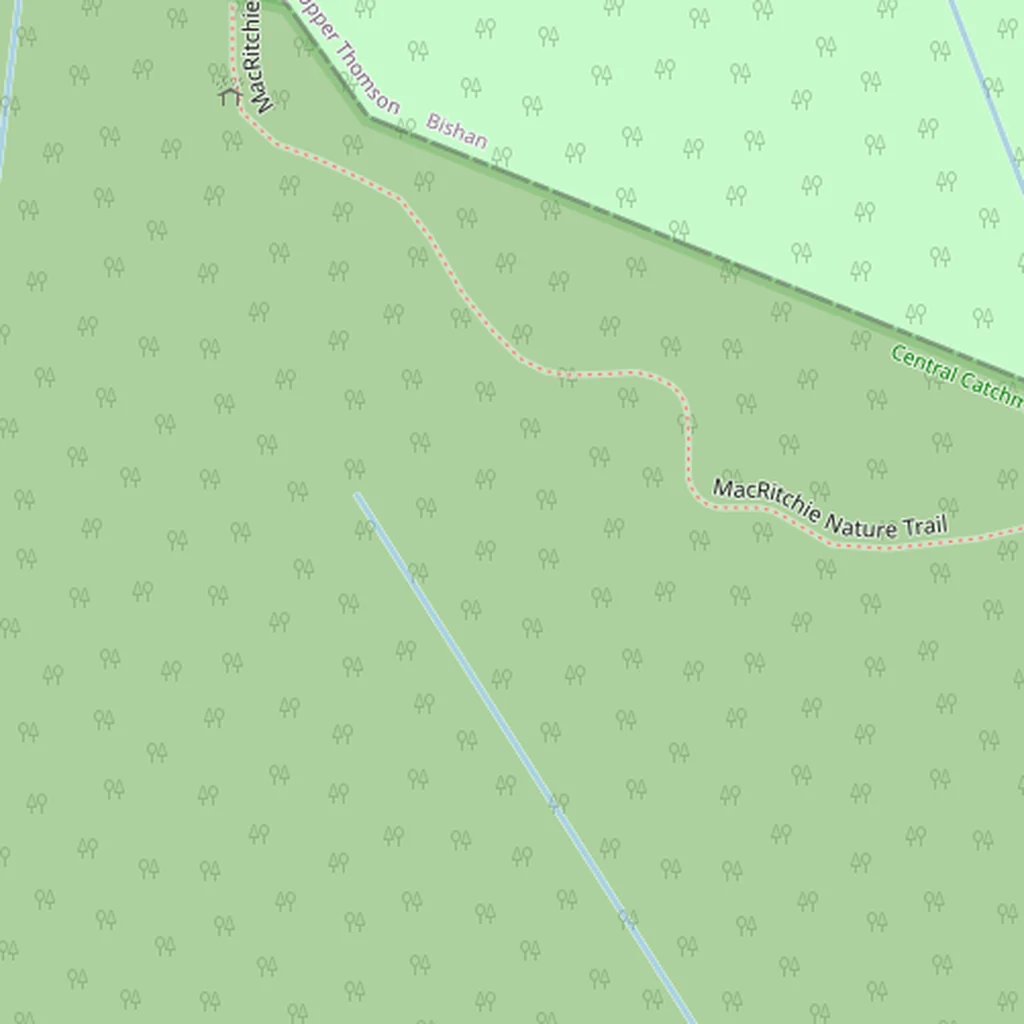 Real-world map of Singapore